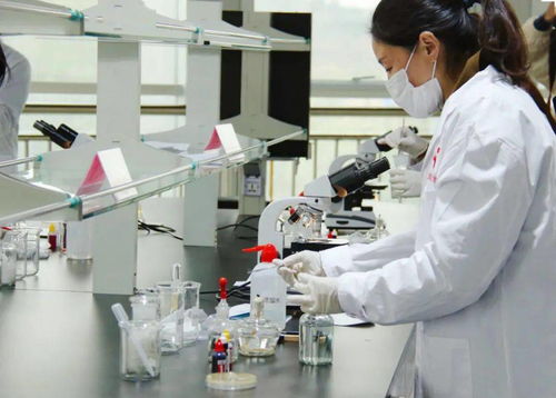 技能比武顯身手，舌尖安全共守護——平陰縣成功舉辦第四屆職業技能大賽農產品食品檢驗員競賽